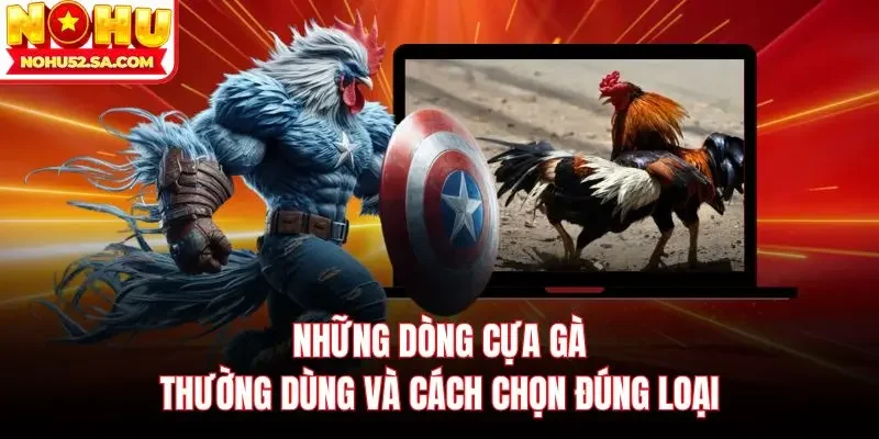 Những dòng cựa gà thường dùng và cách chọn đúng loại