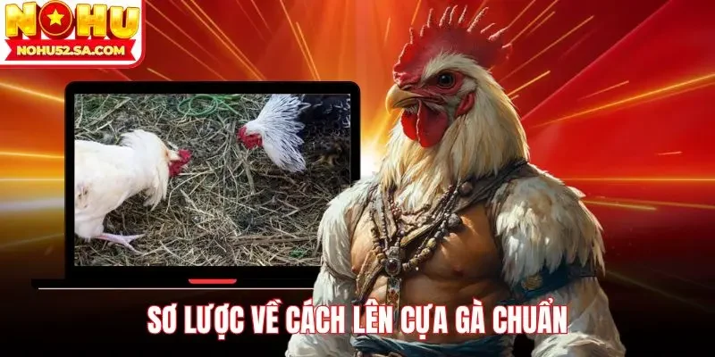 Sơ lược về cách lên cựa gà chuẩn